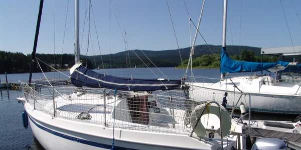 AVAR 23 Costa (Silvia)