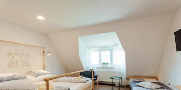 Izba Standard s manželskou postelí (25 m²)