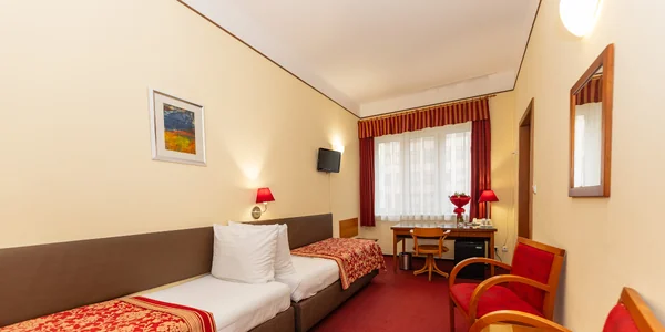 Twin room (samostatné postele) (18 m²)