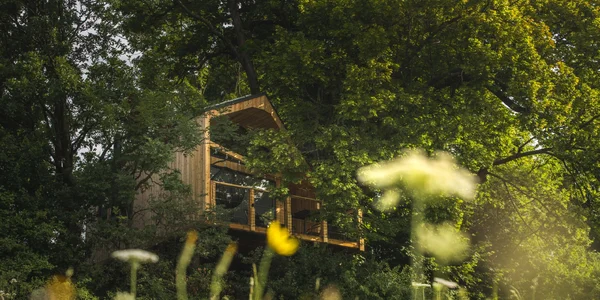 Domček pod lipou (25 m²)