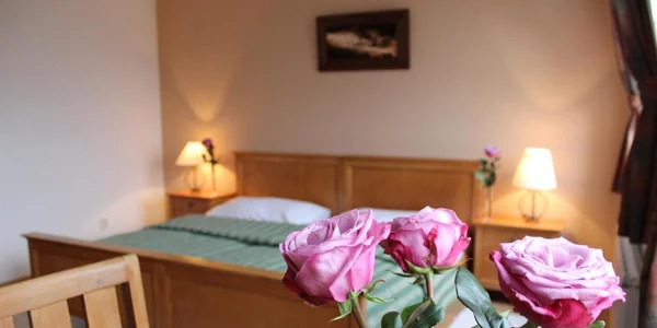 Dvojlôžková izba s manželskou posteľou (20 m²)