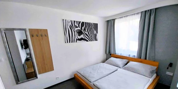 Dvoulůžkový pokoj Standard (20 m²)