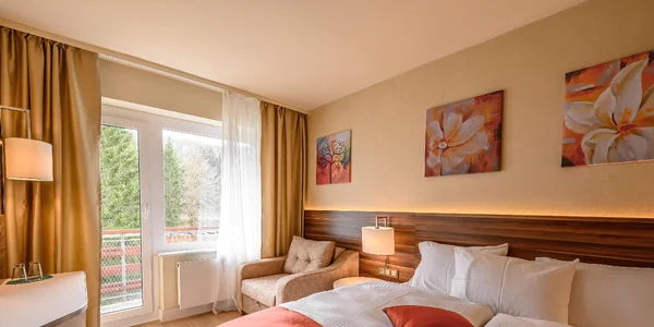 Pokoj Standard orientovaný na jezero (20 m²)