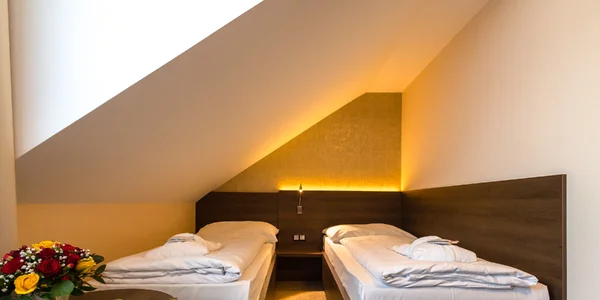 Dvojlôžková izba Classic v podkroví s oddelenými lôžkami (2+0) (20–25 m²)