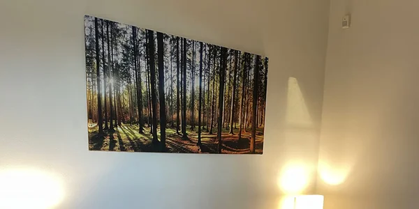 3 lůžkový pokoj