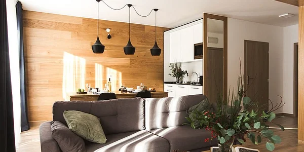 Apartmán Comfort s krbem a balkonem nebo terasou (50 m²)