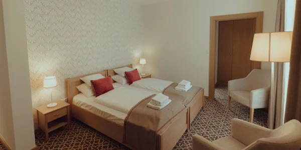 Standard room 2+0