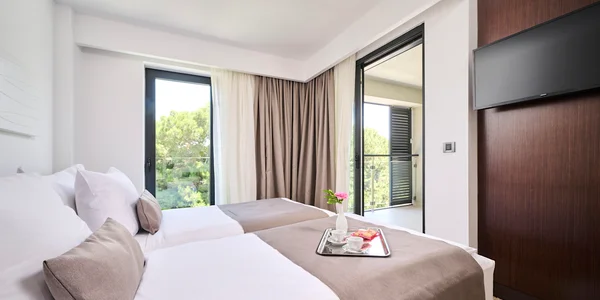 Pokoj Superior s výhledem do zeleně (25 m²)