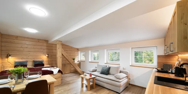 Studio s manželskou posteľou a rozkladacou pohovkou (34 m²)