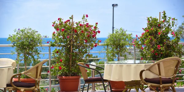 Apartmán studio so spoločnou terasou (45 m²)