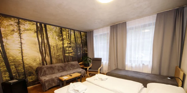 Dvojlôžková izba so sprchovacím kútom alebo vaňou a prístelkou