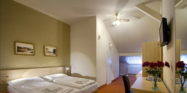 Třílůžkový pokoj ECONOMY (20 m²)