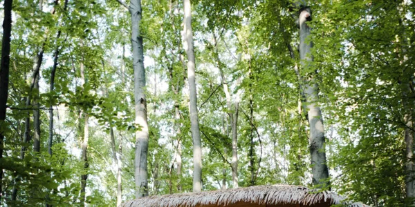Treehouse II (14 m²)