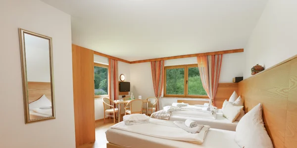 Dvoulůžkový pokoj Pinzgau bez balkonu (20 m²)