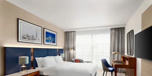 Business King Room (28 m²)