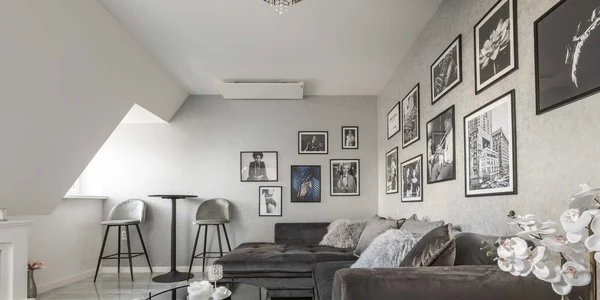 BLUE MOON (42 m²)