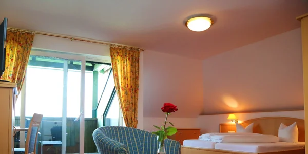 Dvoulůžkový pokoj Deluxe (25 m²)