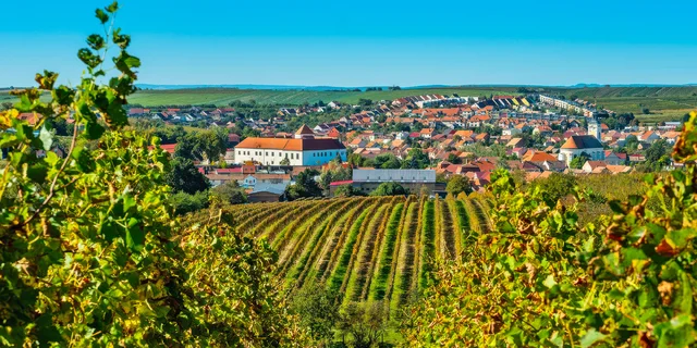 Za vínom a históriou na Moravu: prehliadka pivníc Templárske sklepy spojená s degustáciou, bylinkový raj, rodný dom T. G. Masaryka a ďalšie
