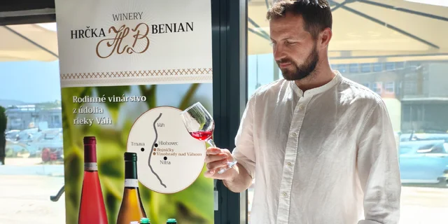 Profesionálna degustácia vín - 10 vzoriek s výkladom od skúseného vinára