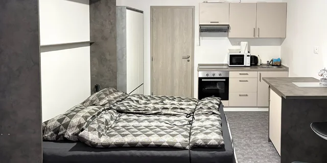 Dovolenka v Krušných horách: pobyt v plne vybavenom apartmáne, 20 min. jazdy od Klínovca