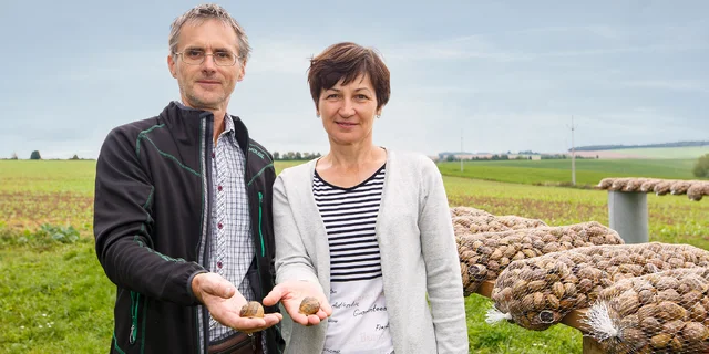 Šnečí farma ve Vyškově: Šneci na české talíře rozhodně patří