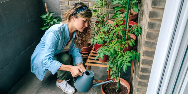 Relax v městské džungli: Urban gardening aneb 8 tipů, jak pěstovat i bez zahrady