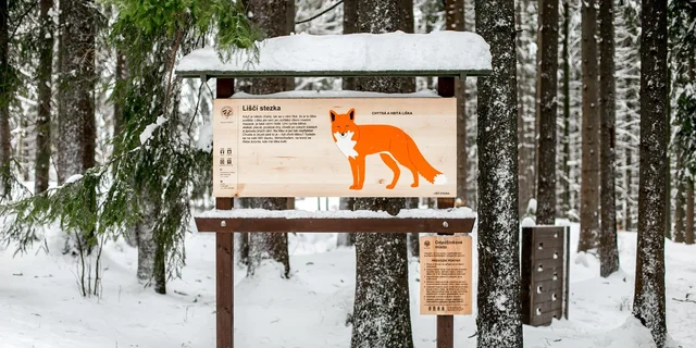 Zimní Harrachov s dětmi? Nejlepší výlety a zážitky přímo od maminek
