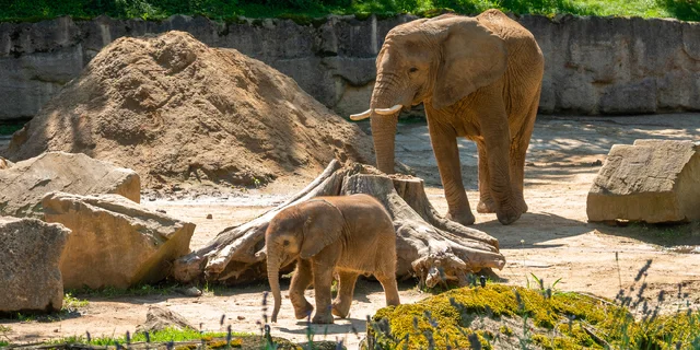 15 rodinných výletov v Zlíne a okolí: Zoo Lešná s rajami, kovozoo či domček na kuracej nôžke