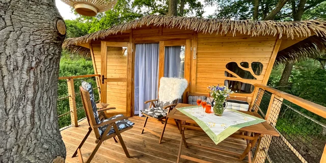 Treehouse aneb ubytování na stromě. Užijte si božský klid v srdci přírody