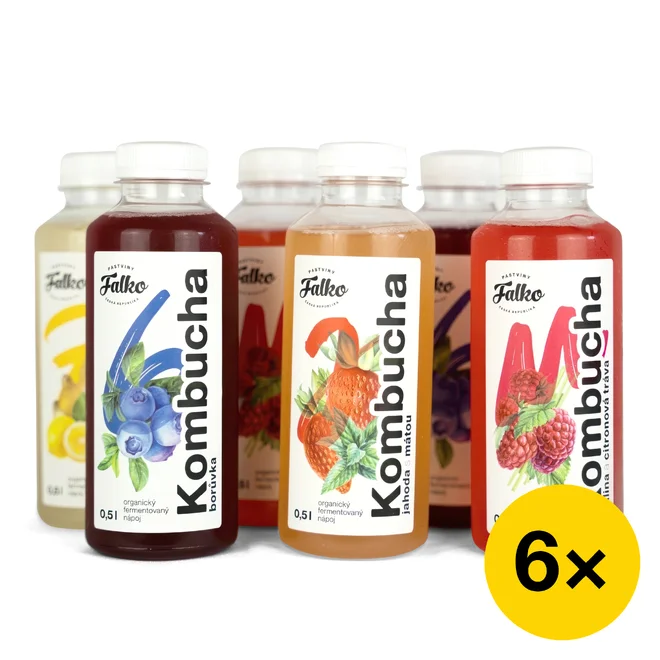 Startovací balíček Falko kombucha (6x 0,5 l)