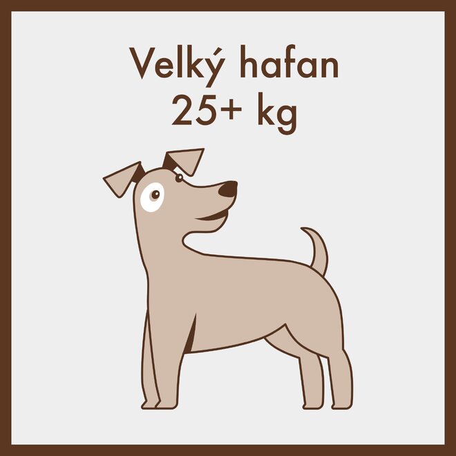Velký hafan
