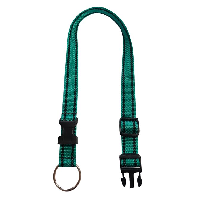 Obojek popruh s kroužkem 65 cm x 25 mm