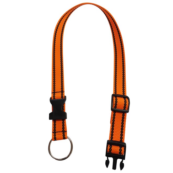 Obojek popruh s kroužkem 65 cm x 25 mm