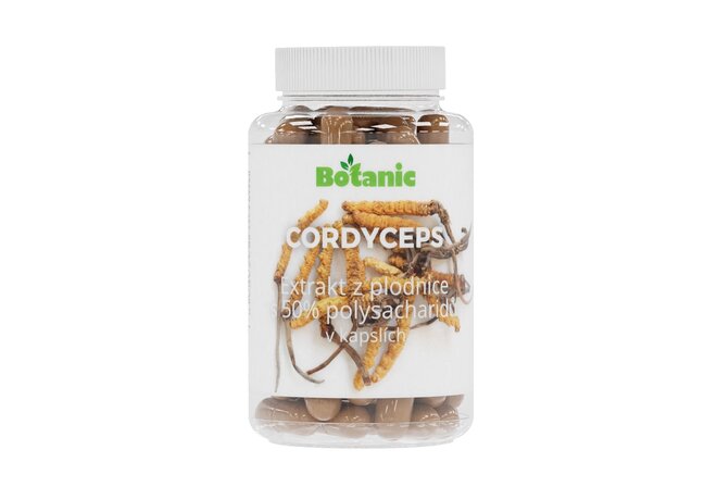 Cordyceps extrakt v kapslích