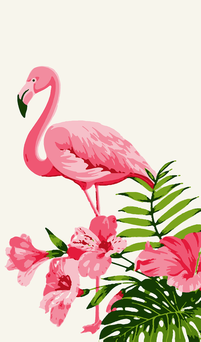 Flamingo