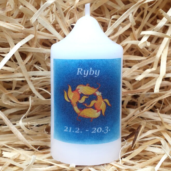 Ryby