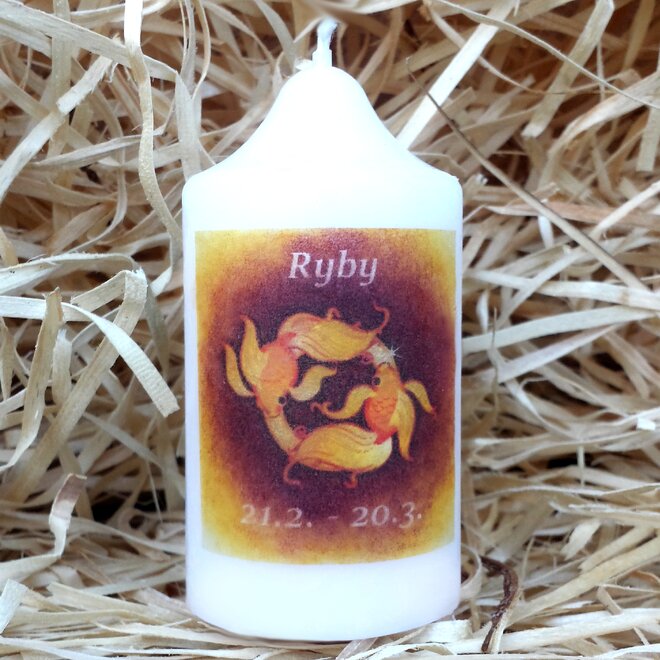 Ryby