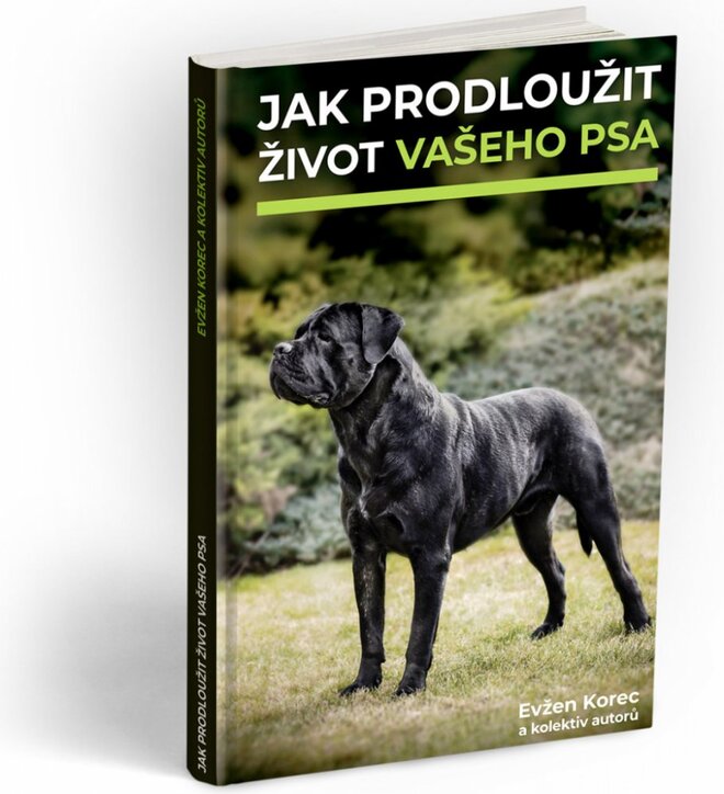 Jak prodloužit život vašeho psa