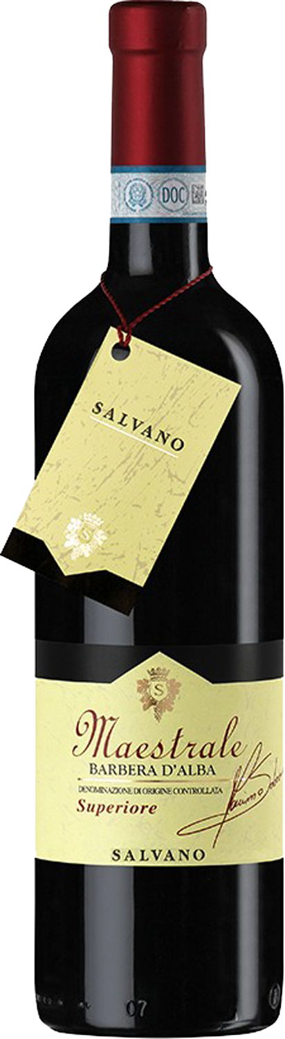 Salvano Barbera d'Alba Superiore „Maestrale” 2014