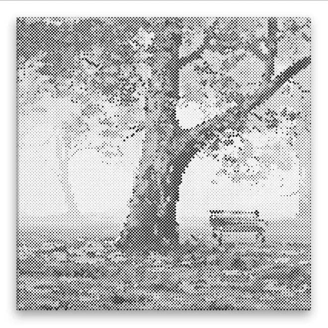 Poklidný park 40 × 40 cm