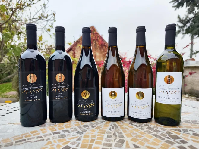 6 x 0,75 l Kartón vín z nitrianskeho vinárstva Bíro (MIX bielych a červených vín)