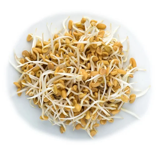 Pískavice – semena na klíčky, 20 g