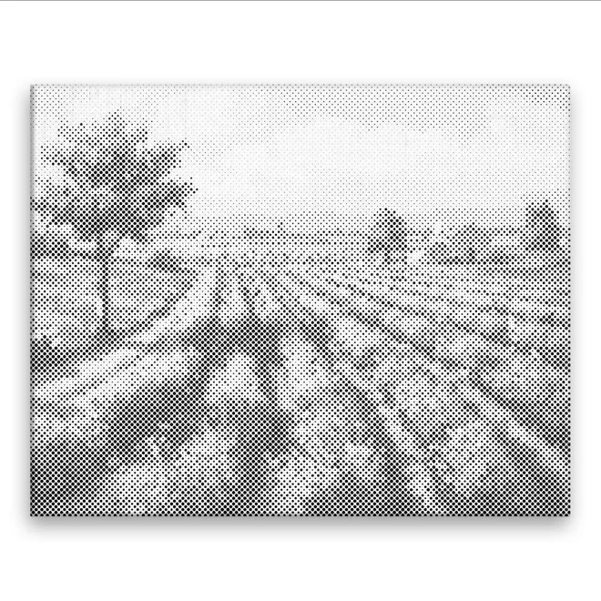 Levandulové lány 50 × 40 cm
