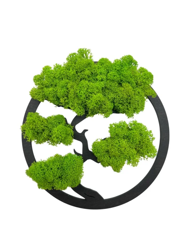 Machový obraz "Bonsaj" (20 cm)
