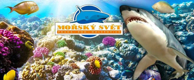 Mořský svět – zábava pro celou rodinu