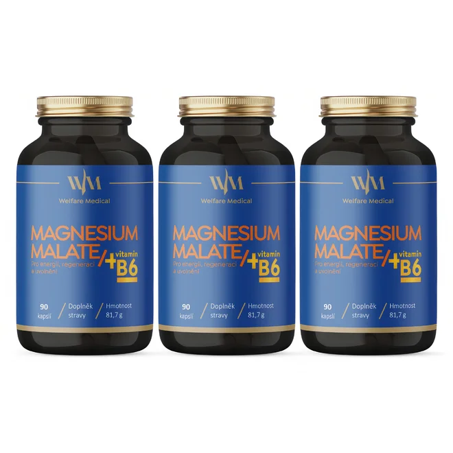 3x Magnesium Malat – Hořčík – Energie, uvolnění a regenerace, 3x 90 kap.