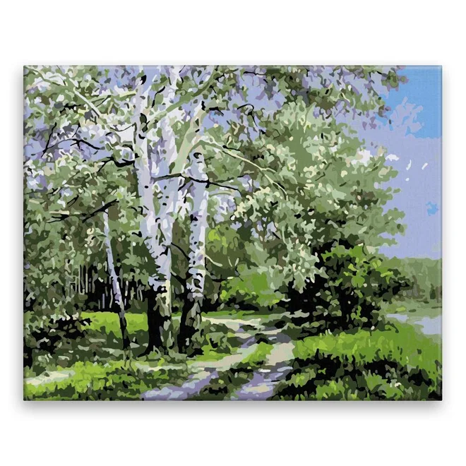 Urostlá bříza 50 × 40 cm