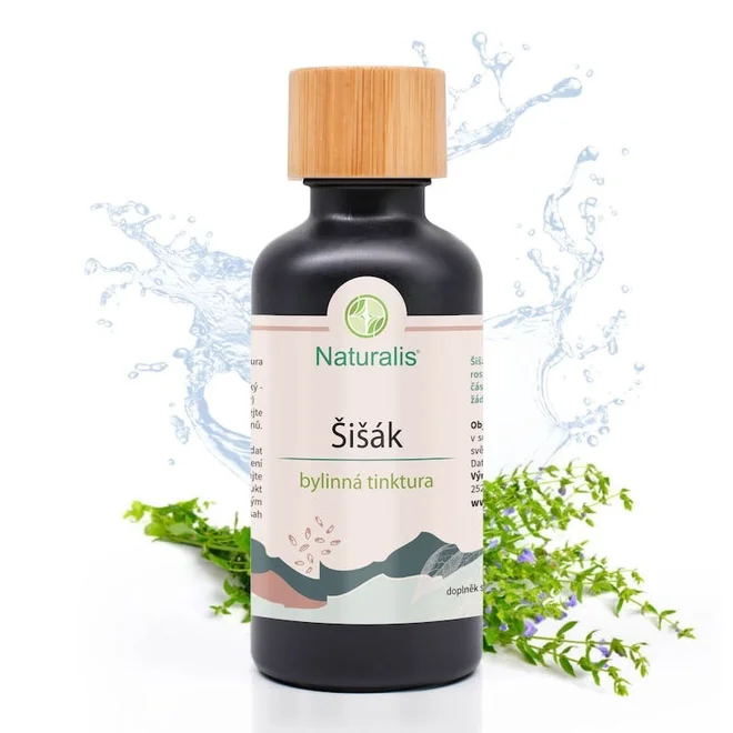 Šišák