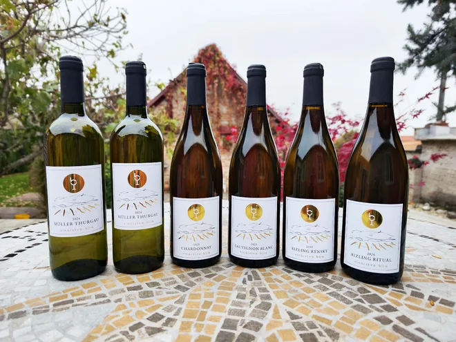 6 x 0,75 l Kartón vín z nitrianskeho vinárstva Bíro (suché a polosuché vína)