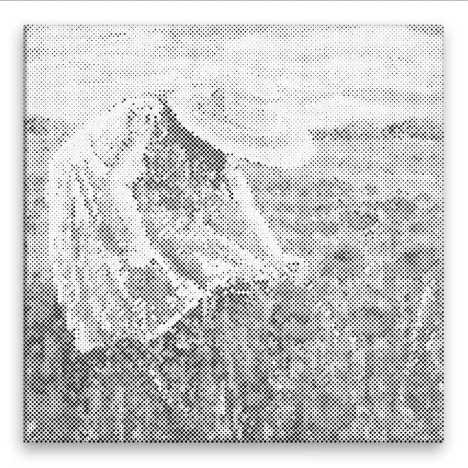Dívka trhající polní květy 40 x 40 cm